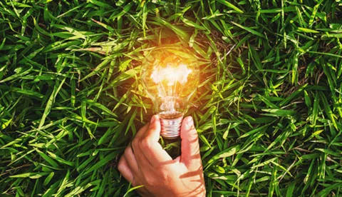 Sustainability Strategy